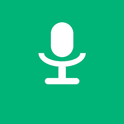 VOCARA: Voice, Camera & Video